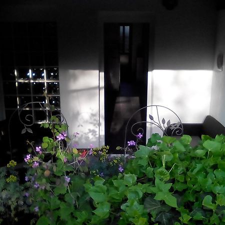 Apartment Poropat Poreč Rum bild