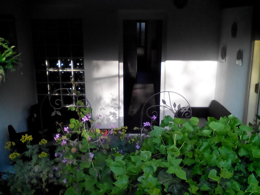 Apartment Poropat Poreč Rum bild